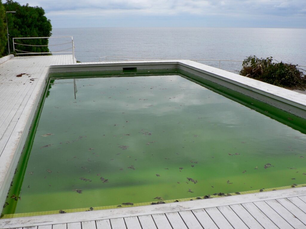 Agua verde sucia piscina