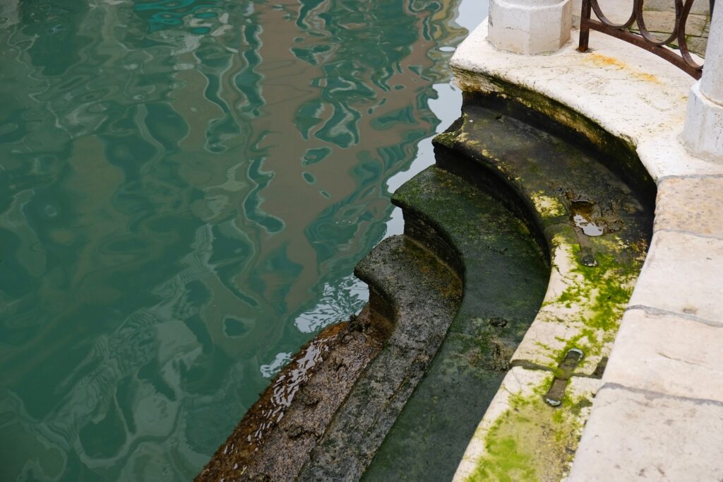 Borde de piscina con algas